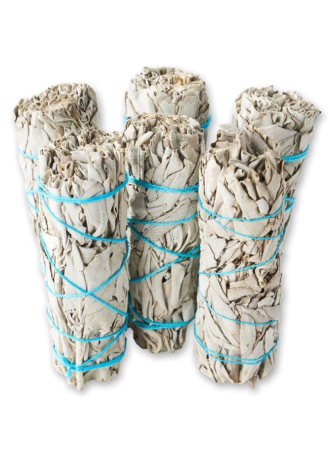 BLUE RIVER SAGE 6 Pack White Sage ~ Sage Smudge Sticks for Smudging & Cleansing Energy ~ Bulk/Wholesale ~ Sustainably Grown (6 Pack) - Image 3